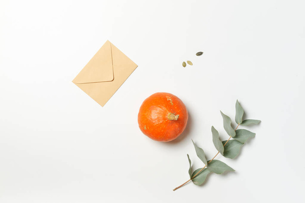 Skladba ve stylu minimalismu na bílém pozadí s obálkou, oranžovou dýní a rostlinnou větví na bílém pozadí - Fotografie, Obrázek