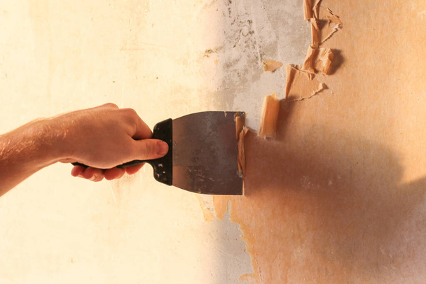 A man removes old wallpaper with a spatula and a spray bottle with water. - Zdjęcie, obraz