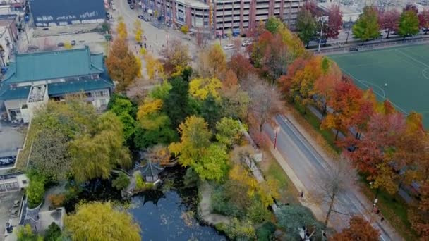 Vista de arriba hacia abajo de Vancouver disctrict con árboles amarillos y naranjos - Imágenes, Vídeo
