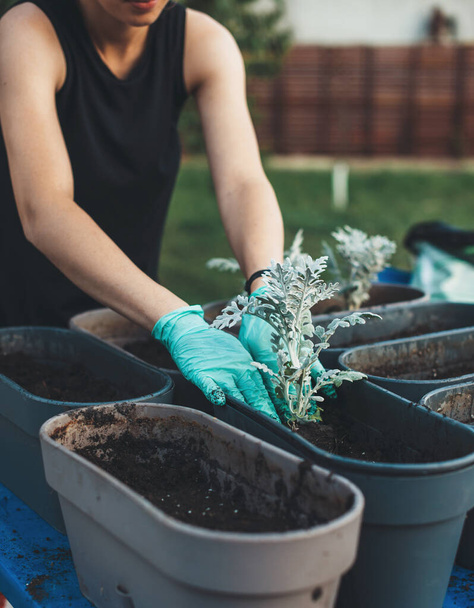 Caucasian woman wearing gloves is working in the yard with some flower replanting - Foto, Imagem