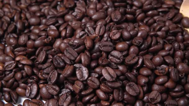 granos de café ragrant primer plano. cuchara de madera toma granos de café - Metraje, vídeo