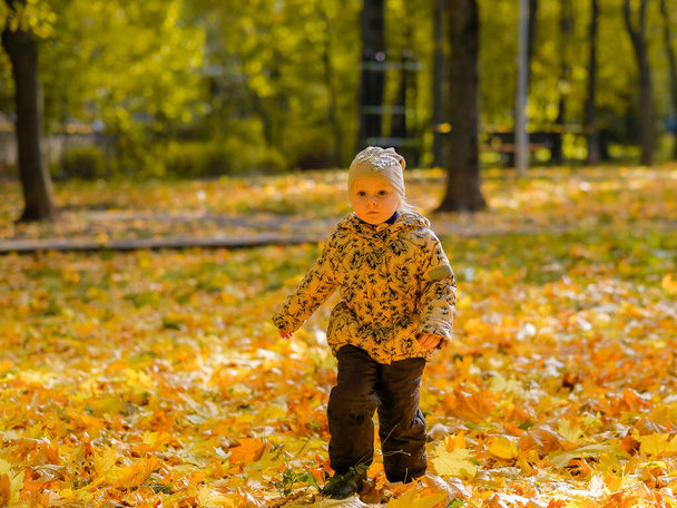 Baby girl running for a walk in the autumn park. Autumn day. Happy childhood. - Foto, Imagem