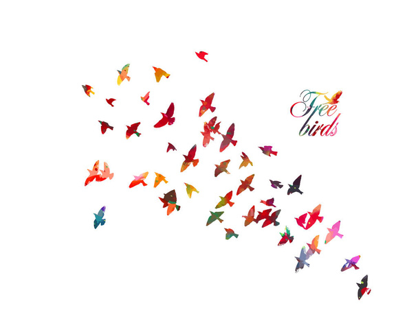 Bird watercolor. A flock of colorful birds. Vector - Vector, Image