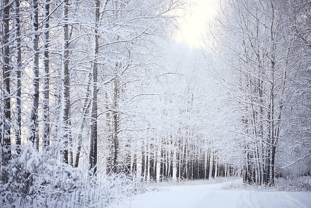 táj téli erdő, szezonális gyönyörű kilátás havas erdőben december természet - Fotó, kép