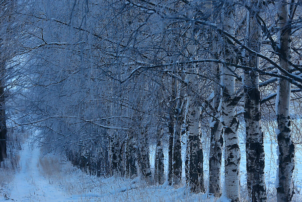 winter road abstract landscape, seasonal path december snow - Photo, Image
