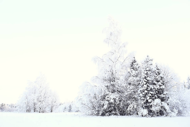 landscape winter forest, seasonal beautiful view in snowy forest december nature - Fotoğraf, Görsel