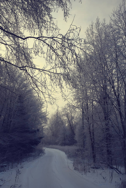 winter road abstract landscape, seasonal path december snow - Foto, Bild