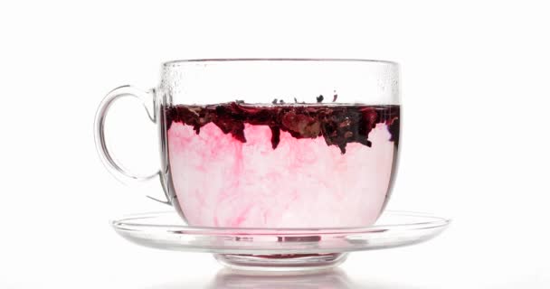 Brouwen van smakelijke hibiscus thee in glazen kopje tegen witte achtergrond - Video