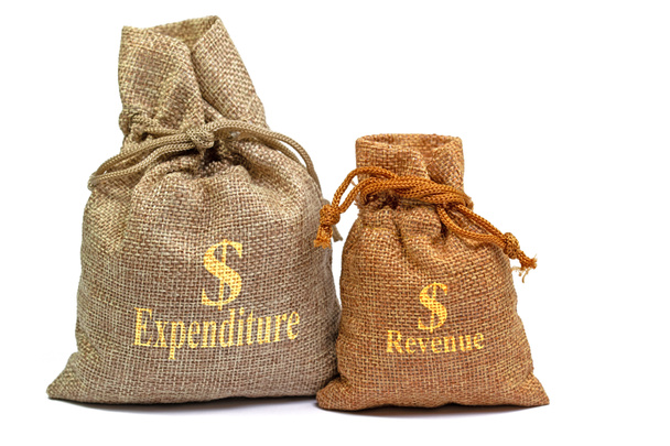 два мешка ткани с импринтом расходов, доходов, с долларовыми знаками - Фото, изображение