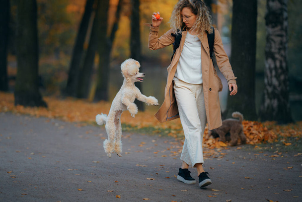 girl and dog in an autumn park at sunset. Walking with pet.  - Photo, Image