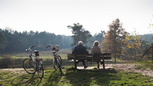 Paar ruht sich auf Bank von Radtour im Herbstwald bei Zeist in Holland aus - Foto, Bild