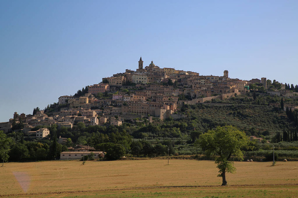 Город оливкового масла, Италия - Фото, изображение