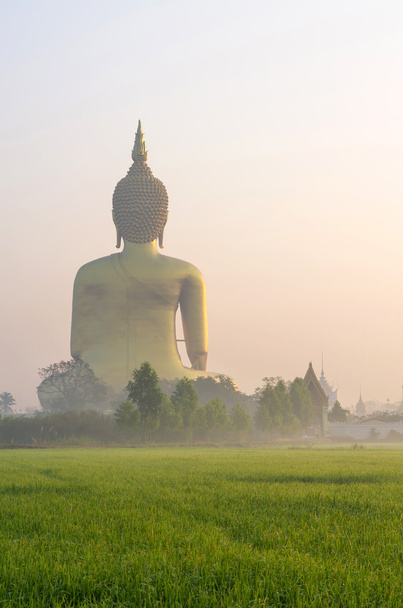 Большой Будда в храме Ват Муанг с туманом и травой, когда солнце
 - Фото, изображение