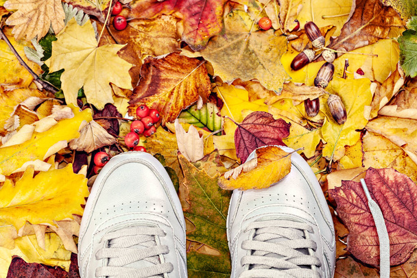 秋の公園の紅葉の上に立つスポーツシューズの人間の足。紅葉のスニーカーに足の概念的なイメージ。最上階だ。上からの眺め. - 写真・画像