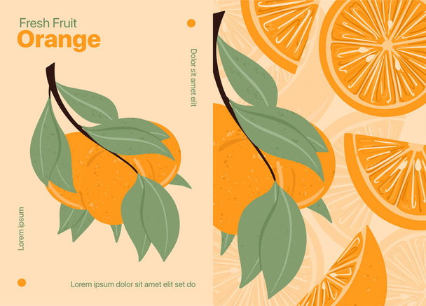 Friss, texturált narancs gyümölcs az ágon levelekkel vektor kézzel húzott kártya kialakítása. - Vektor, kép