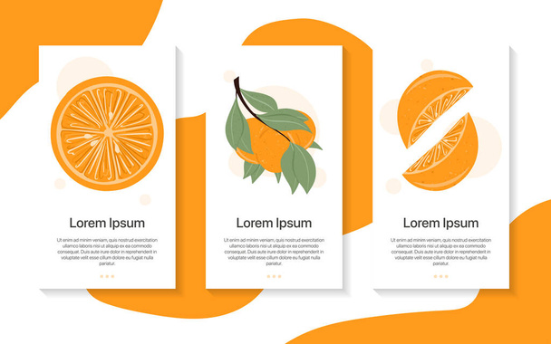 Frescas frutas naranjas texturizadas en rama con hojas vector dibujado a mano diseño de la aplicación móvil. - Vector, Imagen
