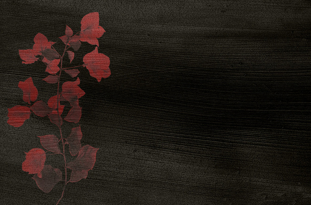 Estampado de buganvillas rojas sobre papel de coco contorneado negro
 - Foto, imagen