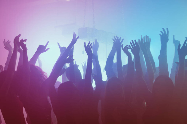 Photo of meeting crazy dance carefree party enjoy raise hands wear trendy outfit modern club indoors - Foto, imagen