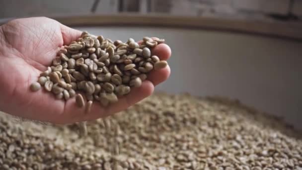 powolny ruch męskiej dłoni dotykającej surowych ziaren kawy - Materiał filmowy, wideo