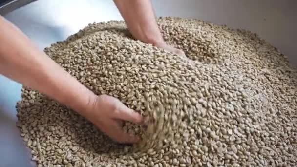 cropped view of of male hands touching raw coffee beans - Footage, Video