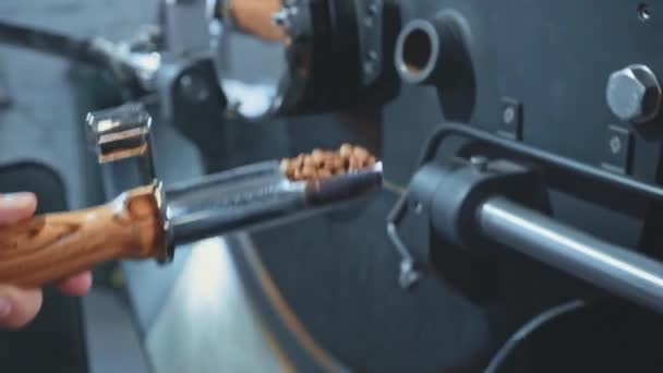 visão cortada da mão masculina tomando grãos de café torrados da máquina - Filmagem, Vídeo