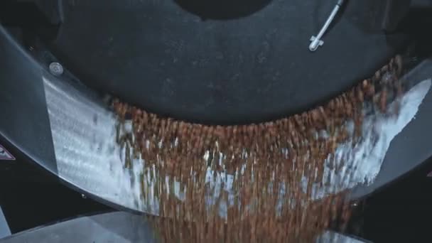 prażone ziarna kawy spadające w maszynie - Materiał filmowy, wideo