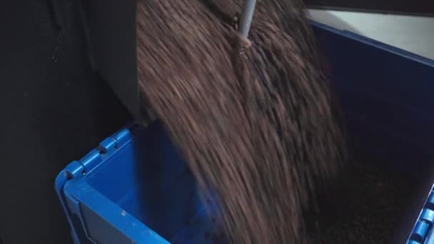 vista recortada del hombre recogiendo granos de café tostados en caja de la máquina - Metraje, vídeo