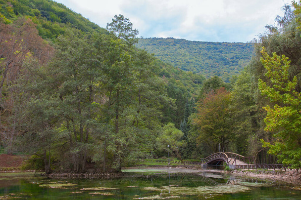 Wooden híd a Vrelo Bosne Parkban Szarajevóban. Bosznia-Hercegovina - Fotó, kép