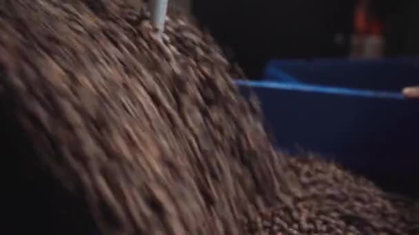 Zeitlupe gerösteter Kaffeebohnen fällt in Schachtel - Filmmaterial, Video
