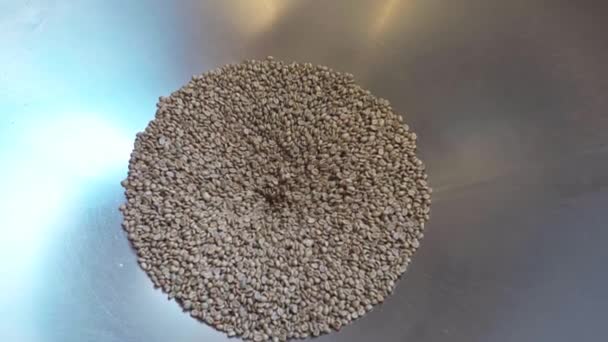 vista superior de grãos de café crus na máquina de metal na fábrica - Filmagem, Vídeo