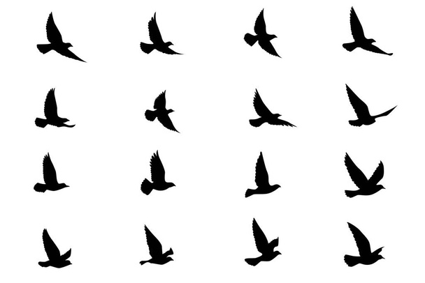 Vliegende vogels silhouetten op geïsoleerde achtergrond. Vector illustratie. Geïsoleerde vogels vliegen. tattoo en behang achtergrond ontwerp. - Vector, afbeelding