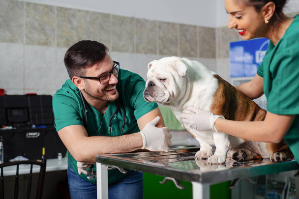 Veterinarian and dog at veterinary clinic. - Фото, изображение