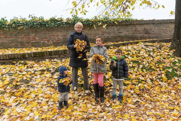 Une mère avec trois enfants joue avec les feuilles d'automne. Famille jouant avec les feuilles d'automne dans le jardin  - Photo, image