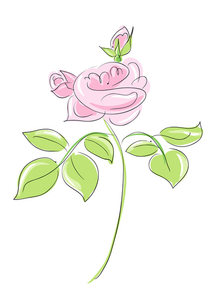 Rose pink - Vettoriali, immagini