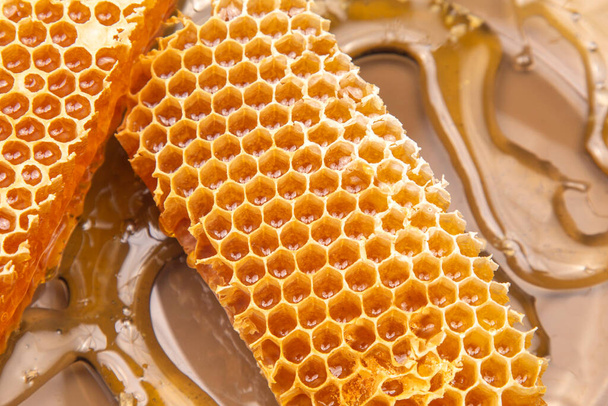 pieces of beeswax honey on a plat - Fotografie, Obrázek