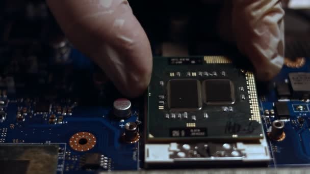 Close-up of technician male hands in gloves using screwdriver to install CPU to notebook. Professional repairing gadgets in service center - Footage, Video