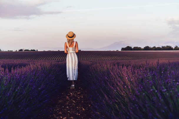 Back view of female in elegant hat and long dress walking near fresh lavender flowers in countryside field in Provence, France - Fotó, kép