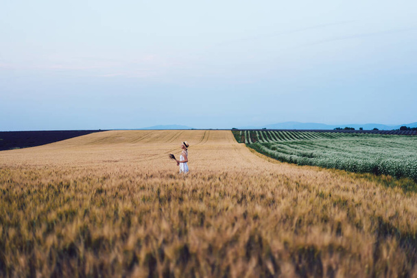 Carefree Caucasian tourist exploring rural nature environment with farm fields of oat cultivation, young female traveller walking around provincial meadow with summer harvest at breathtaking landscape - Фото, изображение