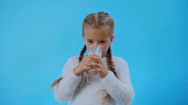Kabarık kazaklı kız mavi üzerine izole edilmiş süt içiyor. - Video, Çekim