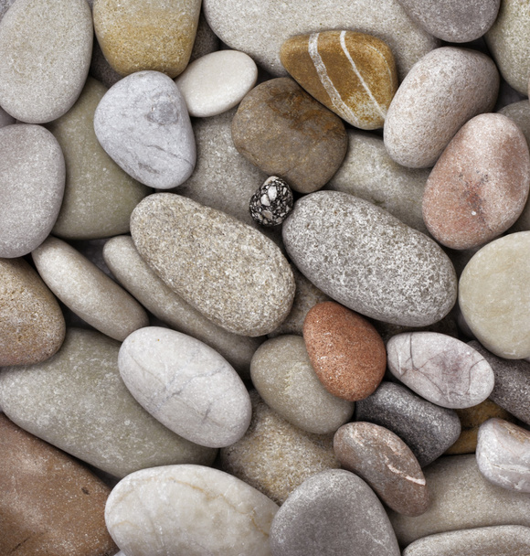 Pedras de escamas redondas
 - Foto, Imagem