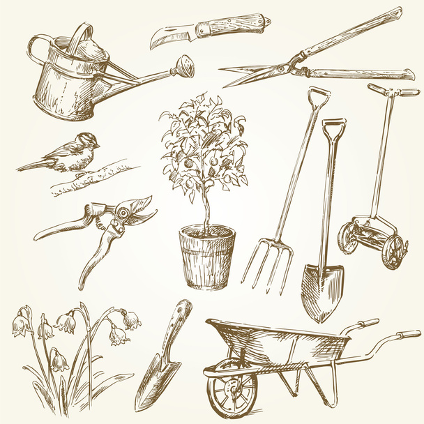 Садовые инструменты
 - Вектор,изображение