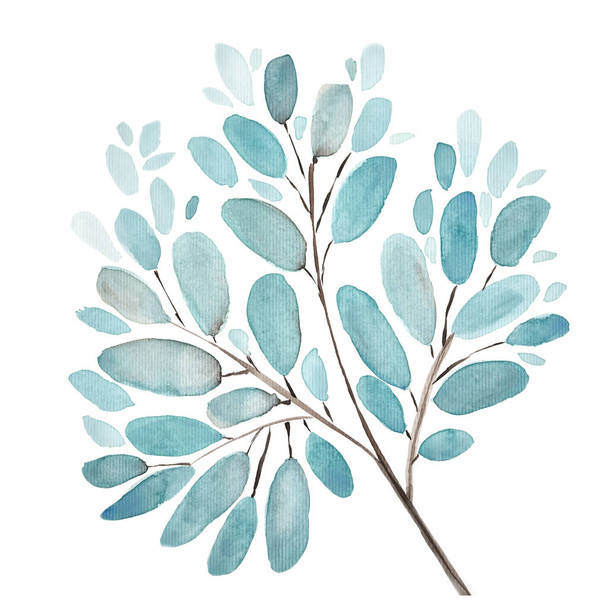 葉や枝の水彩イラストの背景。手描きの花の要素セット。水彩植物図。ユーカリ、オリーブ、緑の葉. - 写真・画像