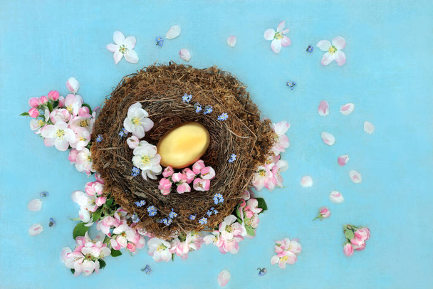 Χρυσή φωλιά αυγό σε μια φωλιά φυσικών πουλιών με άνθη μήλου και ξεχάστε μου δεν λουλούδια και χαλαρά σε στίγματα μπλε φόντο. Εξοικονόμηση και επενδύσεις. Επίπεδο lay, πάνω όψη. - Φωτογραφία, εικόνα