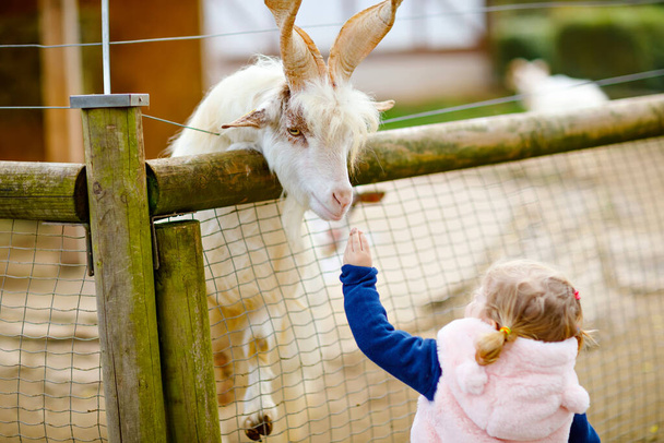 Αξιολάτρευτο χαριτωμένο κοριτσάκι που ταΐζει κατσίκες και πρόβατα σε μια παιδική φάρμα. Όμορφο μωρό χαϊδεύει ζώα στο ζωολογικό κήπο. Ενθουσιασμένο και χαρούμενο κορίτσι το Σαββατοκύριακο της οικογένειας. - Φωτογραφία, εικόνα