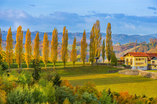 Jesienny krajobraz z winnicami South Styria, znanymi jako austriacka Toskania, urokliwy region na granicy Austrii i Słowenii z pagórkami, malowniczymi wioskami i winiarniami - Zdjęcie, obraz