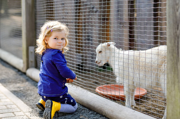 Adorable cute toddler girl feeding little goats and sheeps on a kids farm. Beautiful baby child petting animals in the zoo. Excited and happy girl on family weekend. - Photo, Image