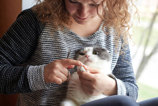 Egy nő levágja egy aranyos macska karmait körömollóval, állatgondozással. - Fotó, kép