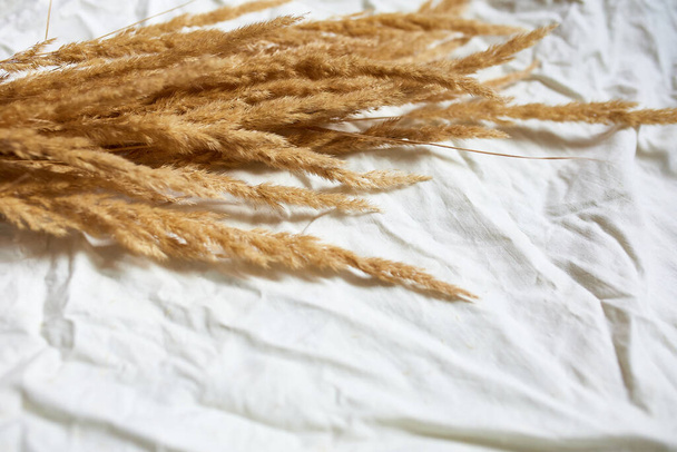 白い繊維のリネンのテーブルクロスの背景にベージュの葦パンパス草のフラットレイアウト - 写真・画像