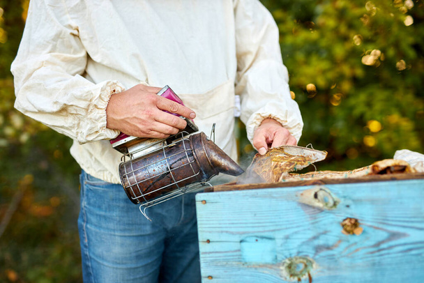 male beekeeper works in an apiary, using beekeepers tools - Фото, изображение