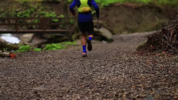 Junge, fitte kaukasische Männer in Sportkleidung trainieren Langlauf in der Natur in der Nähe des Waldflusses. Trailtraining. Selektiver Fokus - Filmmaterial, Video
